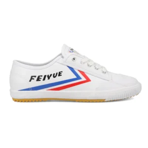 feiyue-france-tai-chi-shoes